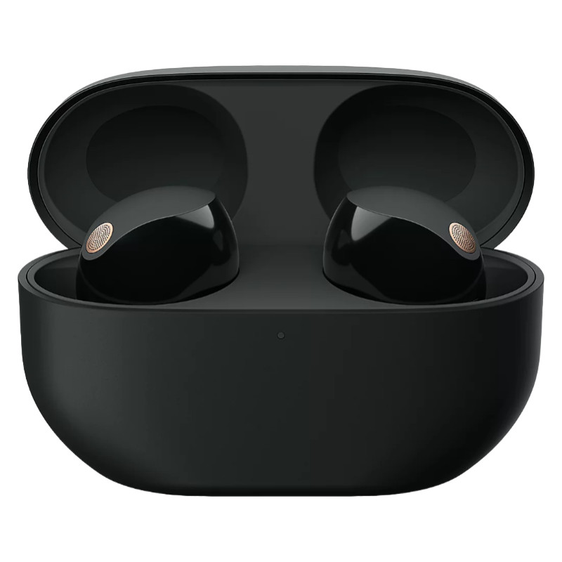 Беспроводные наушники Sony WF-1000XM5 Black