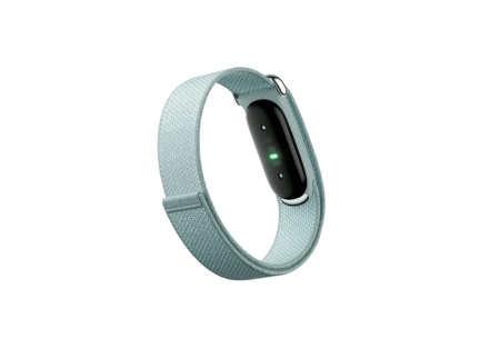Фитнес-браслет Google Fitbit Air Fog