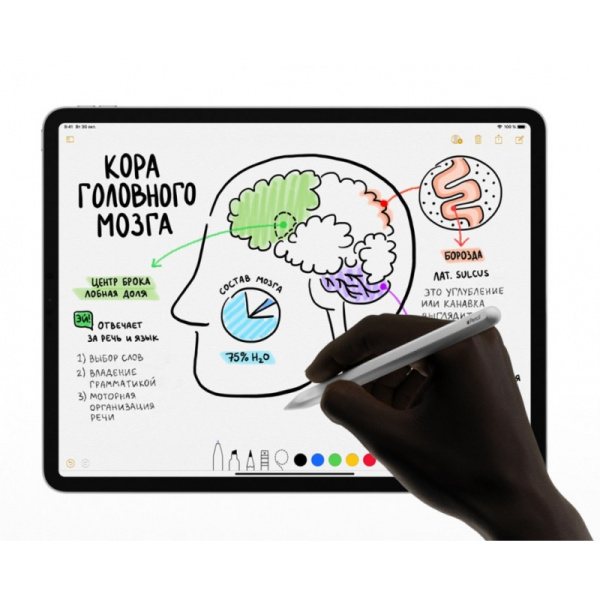 Стилус Apple Pencil (2-го поколения)