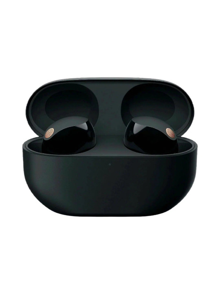 Беспроводные наушники Sony WF-1000XM5 Black