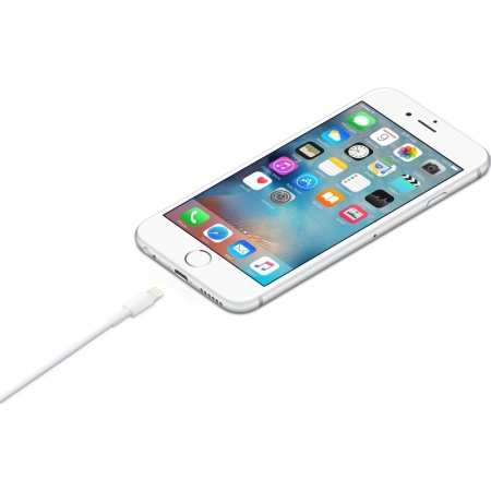 Кабель Apple USB - Lightning (ME291ZM/A) 0.5 м