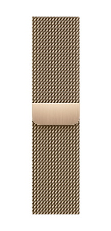 Часы Apple Watch Series 9 41mm Gold Stainless Steel Case with Gold Milanese Loop (GPS + LTE)
