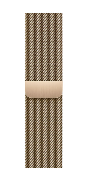 Apple Watch Series 9 41mm Gold Stainless Steel Case with Gold Milanese Loop (GPS + LTE)