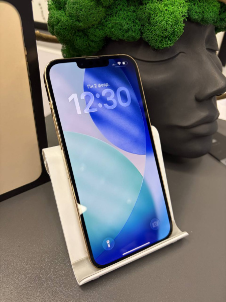 Apple iPhone 13 Pro Max 256GB Gold Б/У