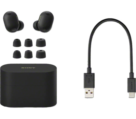 Беспроводные наушники Sony WF-1000XM6 Black