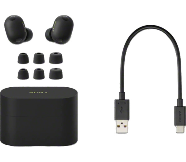 Беспроводные наушники Sony WF-1000XM6 Black