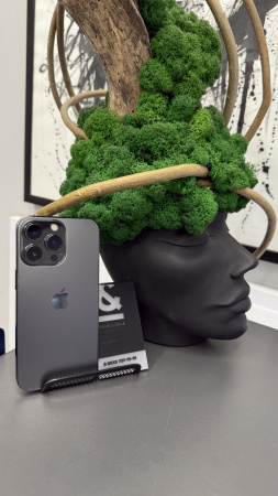 Apple iPhone 13 Pro 256GB Graphite Б/У