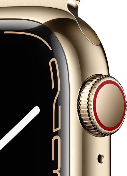 Часы Apple Watch Series 7 45mm Gold Stainless Steel Case with Milanese Loop Gold (GPS+ Cellular)