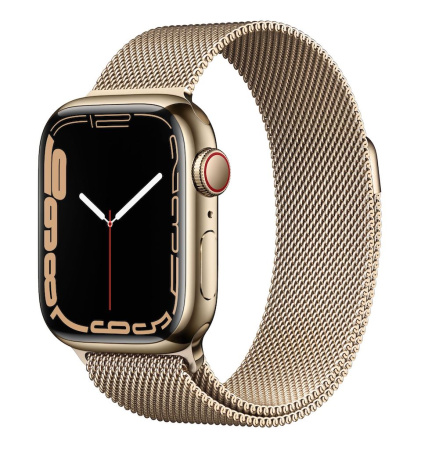 Часы Apple Watch Series 7 41mm Gold Stainless Steel Case with Milanese Loop Gold (GPS+ Cellular)