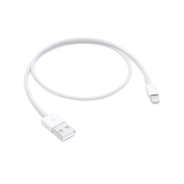 Кабель Apple USB - Lightning (ME291ZM/A) 0.5 м