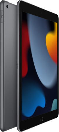 Планшет Apple iPad 10.2 (2021) Wi-Fi 256Gb Space Gray (Серый Космос)