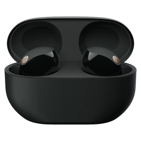 Беспроводные наушники Sony WF-1000XM5 Black