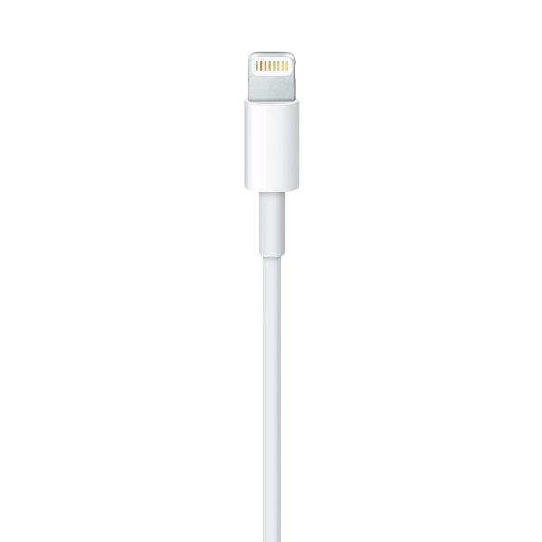 Кабель Apple USB - Lightning (ME291ZM/A) 0.5 м