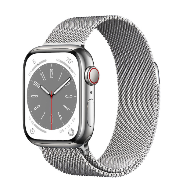 Часы Apple Watch Series 8 41mm Silver Stainless Steel Case with Silver Milanese Loop (GPS+Cellular)