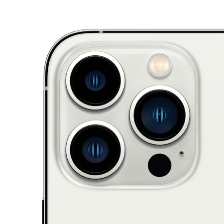 Смартфон Apple iPhone 13 Pro 256GB Silver (Серебристый) nanoSIM + eSIM