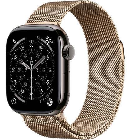 Часы Apple Watch Series 11 42mm Slate Titanium Case with Gold Milanese Loop (GPS + LTE)