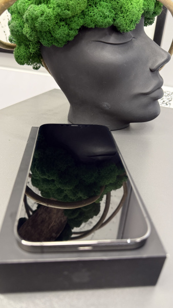 Apple iPhone 12 Pro Max 128GB Graphite Б/У