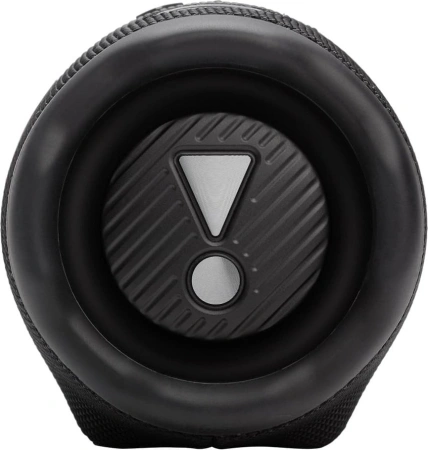 Портативная колонка JBL Charge 6 Black