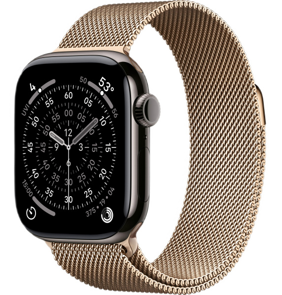 Часы Apple Watch Series 11 46mm Slate Titanium Case with Gold Milanese Loop (GPS + LTE)