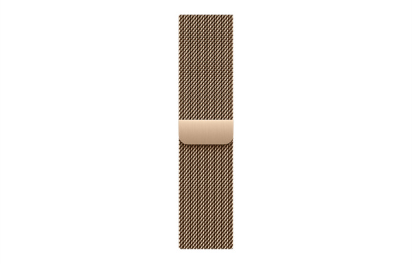 Часы Apple Watch Series 11 46mm Slate Titanium Case with Gold Milanese Loop (GPS + LTE)