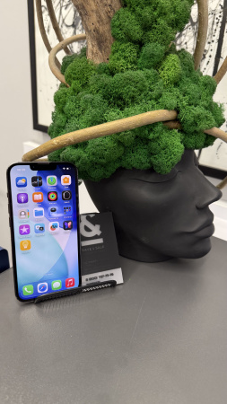 Apple iPhone 13 Pro 256GB Graphite Б/У