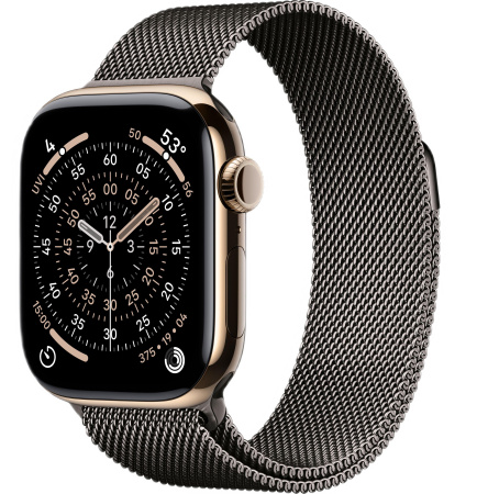 Часы Apple Watch Series 11 46mm Gold Titanium Case with Slate Milanese Loop (GPS + LTE)