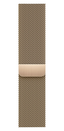 Часы Apple Watch Series 9 45mm Gold Stainless Steel Case with Gold Milanese Loop (GPS + LTE)