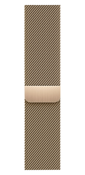 Часы Apple Watch Series 9 45mm Gold Stainless Steel Case with Gold Milanese Loop (GPS + LTE)