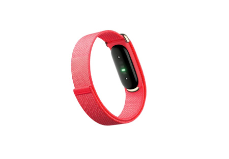 Фитнес-браслет Google Fitbit Air Berry