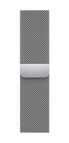 Apple Watch Series 9 41mm Silver Stainless Steel Case with Silver Milanese Loop (GPS + LTE)