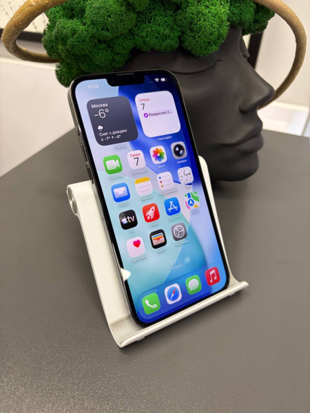 Apple iPhone 13 Pro Max 256GB Alpine Green Б/У