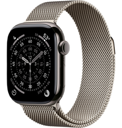 Часы Apple Watch Series 11 46mm Slate Titanium Case with Natural Milanese Loop (GPS + LTE)