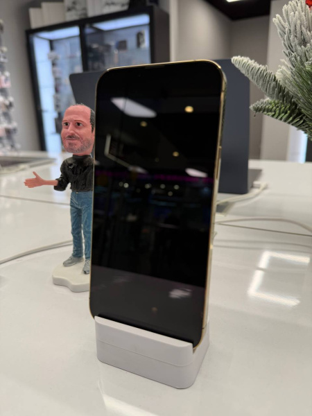 Apple iPhone 13 Pro Max 256GB Gold Б/У