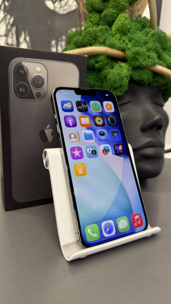 Apple iPhone 13 Pro Max 256GB Graphite Б/У