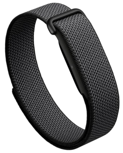 Фитнес-браслет Google Fitbit Air Obsidian