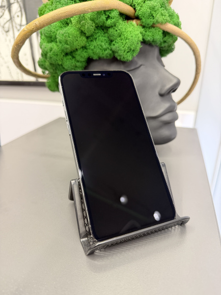 Apple iPhone 12 Pro Max 256GB Graphite Б/У