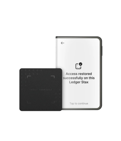 Аппаратный криптовалютный кошелёк Ledger Stax (с чехлом)