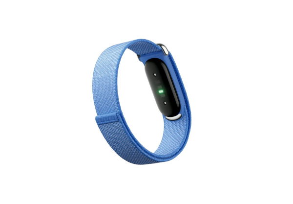 Фитнес-браслет Google Fitbit Air Lavender