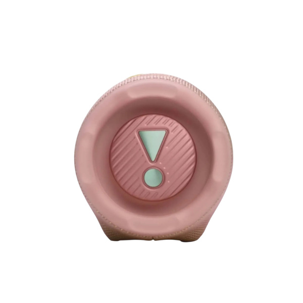 Портативная колонка JBL Charge 6 Pink