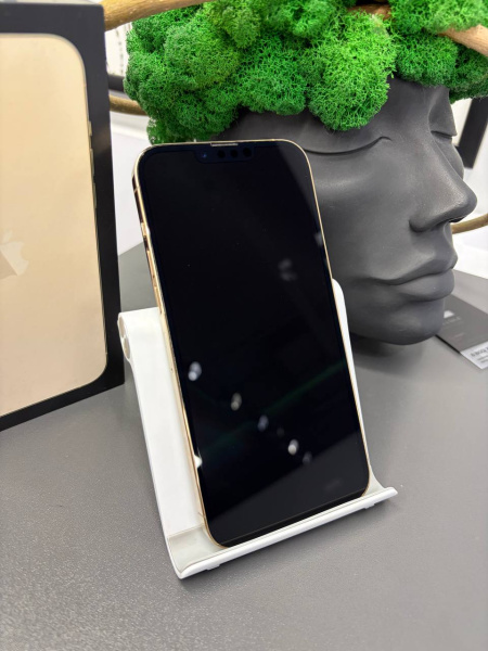 Apple iPhone 13 Pro Max 256GB Gold Б/У