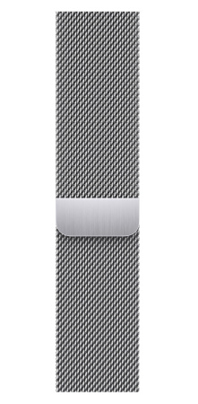 Часы Apple Watch Series 9 45mm Silver Stainless Steel Case with Silver Milanese Loop (GPS + LTE) Часы Apple Watch Series 9 45mm Silver Stainless Steel Case with Silver Milanese Loop (GPS + LTE)