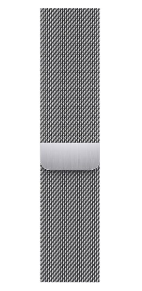 Часы Apple Watch Series 9 45mm Silver Stainless Steel Case with Silver Milanese Loop (GPS + LTE)