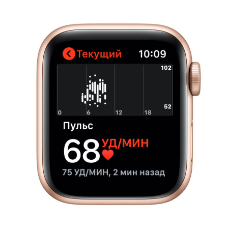 Часы Apple Watch SE 40mm Gold Aluminum Case with Starlight Sport Band (GPS)