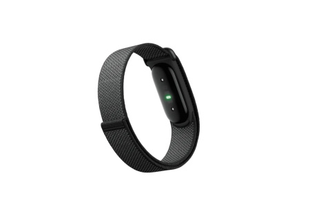 Фитнес-браслет Google Fitbit Air Obsidian