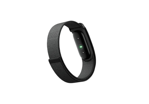 Фитнес-браслет Google Fitbit Air Obsidian