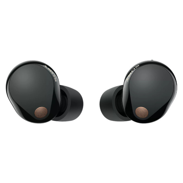 Беспроводные наушники Sony WF-1000XM5 Black