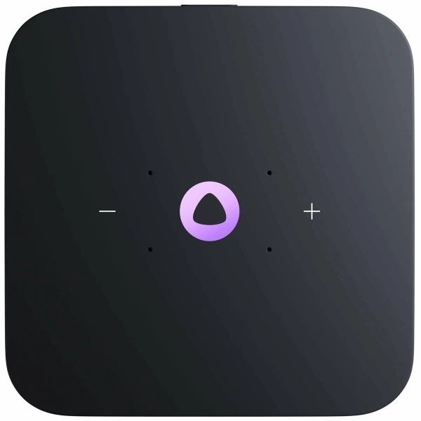 Умная колонка Яндекс Станция Миди Zigbee с Алисой Малиновый